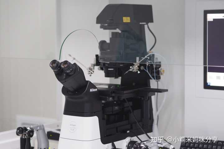 带肌瘤怀孕的风险拦截：多发性子宫肌瘤备孕期、孕中期的医学建议