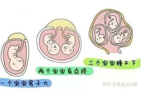 详解三代试管核心:PGS基因筛查是如何剔除异常胚胎、拦截遗传病的?
