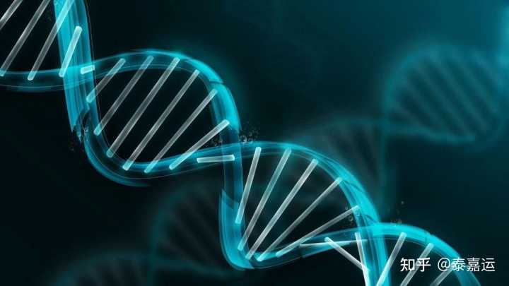 武汉试管求医必看:同济、协和生殖中心技术差异与成功率深度分析